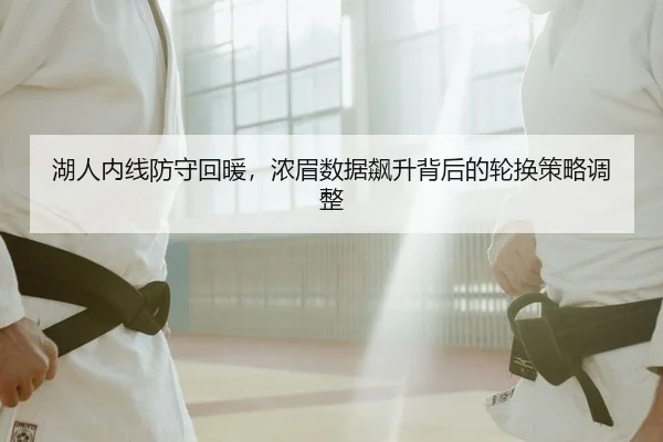 湖人内线防守回暖，浓眉数据飙升背后的轮换策略调整 - yaxin
